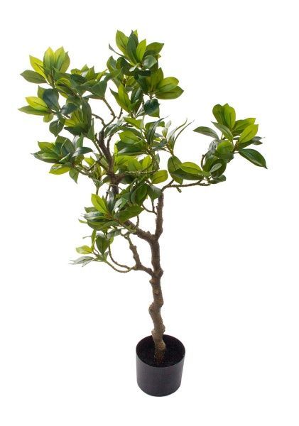 Дерево искусственное в кашпо "Фагрея", H100 см