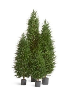 Кипарис Тауэр Элегант уличный новый 2/2