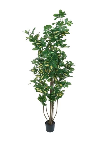 Дерево искусственное в кашпо "Шеффлера", Н180 см, 1022 листа