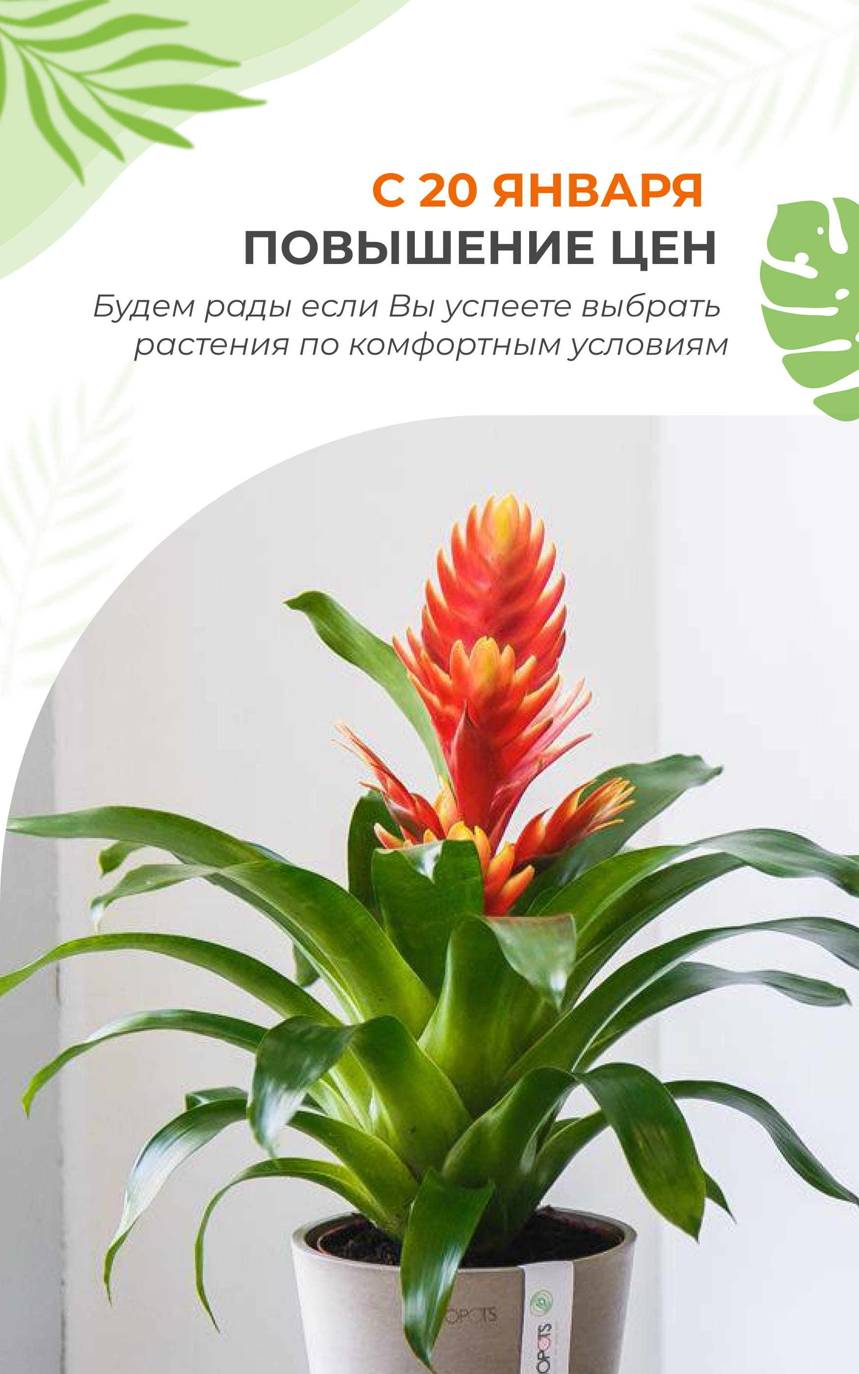 Повышение цен 2026