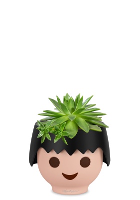 Эхеверия зеленая 10/15 см в OJO