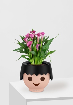 Калла розовая 12/35 см в OJO