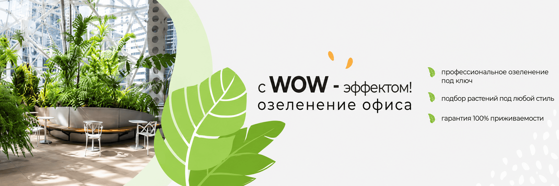 Баннер озеленение офисов