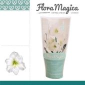 Гиппеаструм белый Flora Magica 1 ствол d12 см h20 см (Голландия)