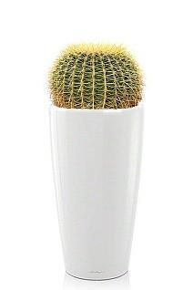 Кактус Грузони RONDO 40/100 см, белый блестящий Кактус Грузони RONDO 40/100 см, белый блестящий