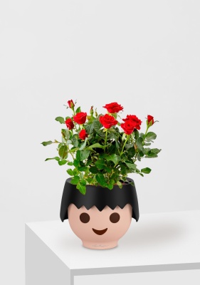 Роза Бо Монд красная 12/25 см в OJO