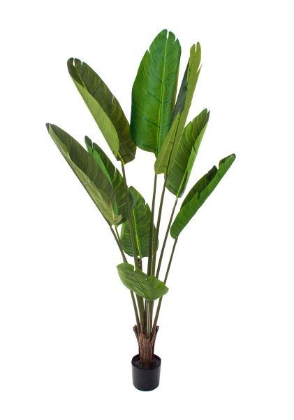 Растение искусственное в кашпо "Стрелиция", H150 см, 9 веток