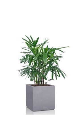 Рапис 21/90 см в CANTO STONE LOW 30, серый камень