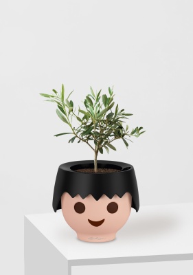 Олива 12/30 см в OJO