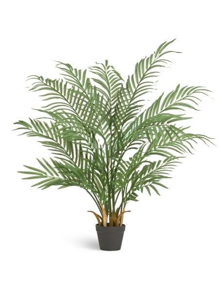 Пальма Арека Форест 110 см