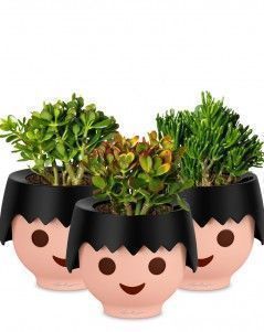 Набор "Денежные деревья" OJO 25 см, Черный