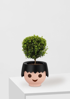 Мирсина 12/30 см в OJO Мирсина 12/30 см в OJO