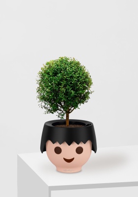 Мирт на стволе 12/30 см в OJO