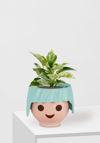 Сциндапсус Марбл Квин 12/20 см в OJO Сциндапсус Марбл Квин 12/20 см в OJO