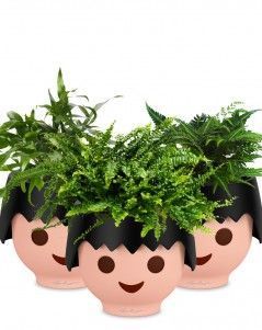 Набор "Папоротники" OJO 35 см, Черный Набор "Папоротники" OJO 35 см, Черный