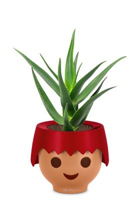 Алоэ OJO 35 см, Красный матовый Алоэ OJO 35 см, Красный матовый