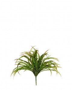 Трава Ванилла Грасс зеленая с бордо