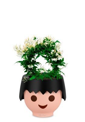 Жасмин на опоре 12/35 см в OJO, черный