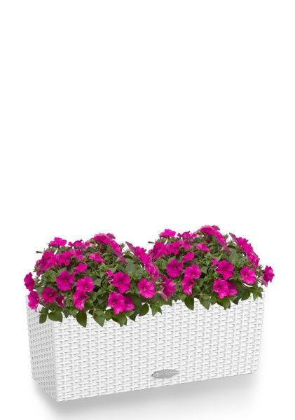 Петуния розовая в BALCONERA Cottage 50 Петуния розовая в BALCONERA Cottage 50