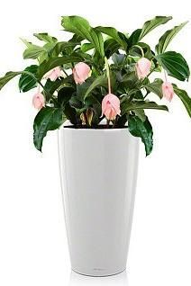 Мединилла RONDO 40/125 см, белый блестящий