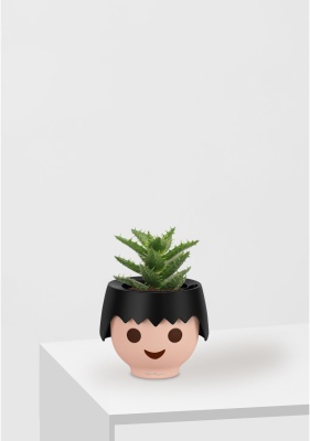 Алоэ Хавортия микс 5 см в OJO