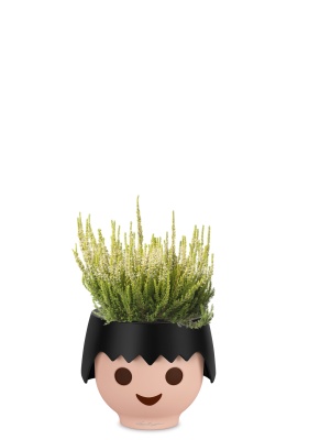 Вереск (Эрика) белый в OJO