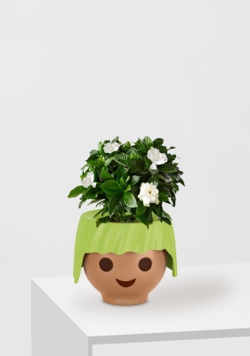 Гардения 12/30 см в OJO, зеленый Гардения 12/30 см в OJO, зеленый