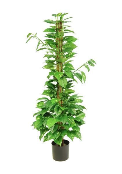 Растение искусственное в кашпо "Потос на стволе", 250 листьев, H121 см