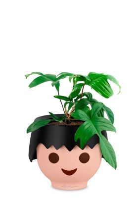 Филодендрон Флорида Грин 12/25 см в OJO, черный