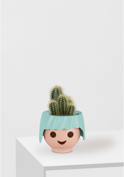 Кактус микс 8 см в OJO Кактус микс 8 см в OJO