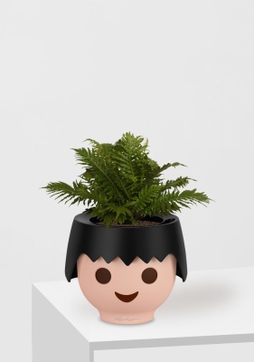 Блехнум 12/30 см в OJO