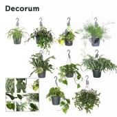 Ампельный микс d17 см h35 см