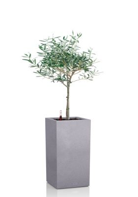 Олива 19/90 в CANTO STONE HIGH 30,серый камень Олива 19/90 в CANTO STONE HIGH 30,серый камень