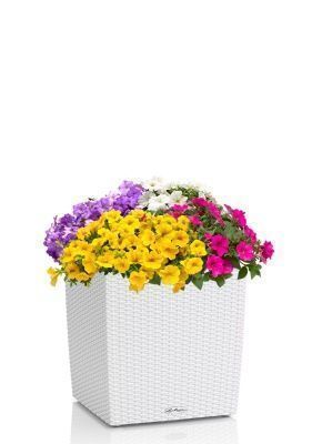 Петуния Цветной Микс в CUBE Cottage 50, белый Петуния Цветной Микс в CUBE Cottage 50, белый