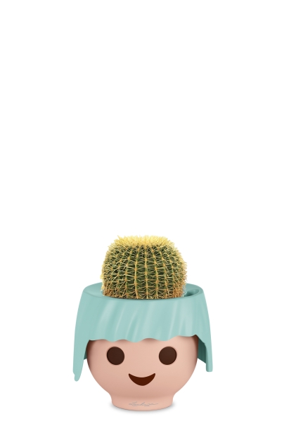 Эхинокактус Грузони 7/8 см в OJO