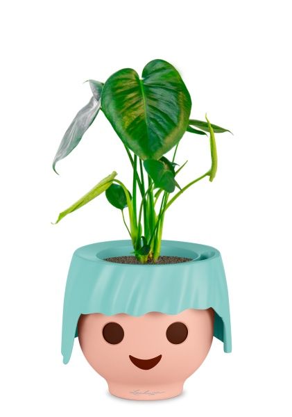 Монстера Делициоза 12/40 см в OJO