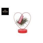 Тилландсия Love Edition d11 см h23 см Тилландсия Love Edition d11 см h23 см