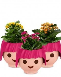 Набор "Каланхоэ" OJO 30 см, Рубиново-розовый