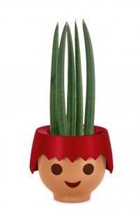 Сансевиерия Цилиндрика Спагетти OJO 30 см, Красный матовый