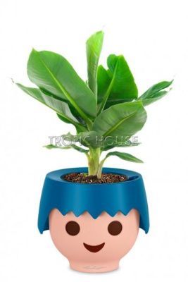 Банан в OJO 40 см