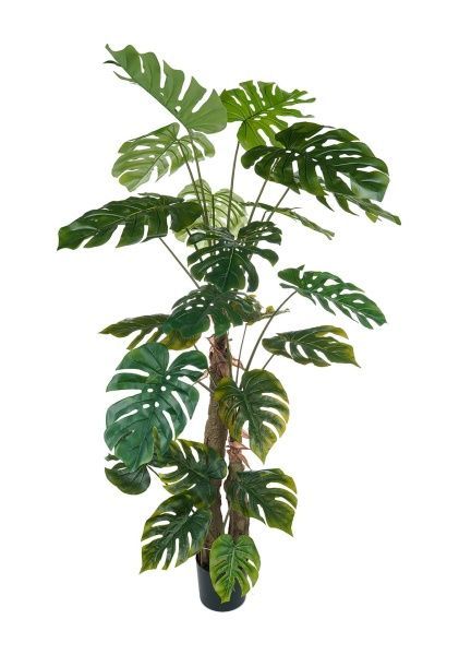 Дерево искусственное в кашпо "Монстера", Н180 см, 22 листа