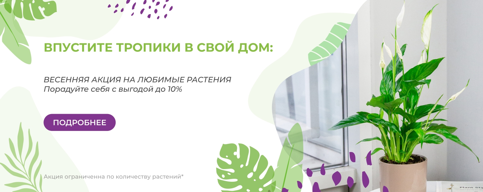 ВПУСТИТЕ ТРОПИКИ В СВОЙ ДОМ ВПУСТИТЕ ТРОПИКИ В СВОЙ ДОМ