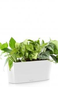 Микс из вьющихся DELTA 20/35 см, Белый блестящий Микс из вьющихся DELTA 20/35 см, Белый блестящий