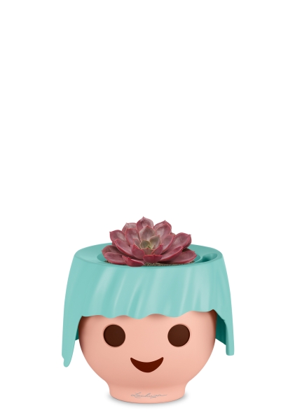 Эхеверия Меджик Парел 12/16 см в OJO