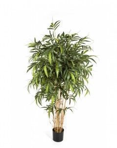 Бамбук Новый натуральный