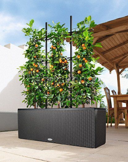 Решетки с изгибом для кашпо TRIO 40