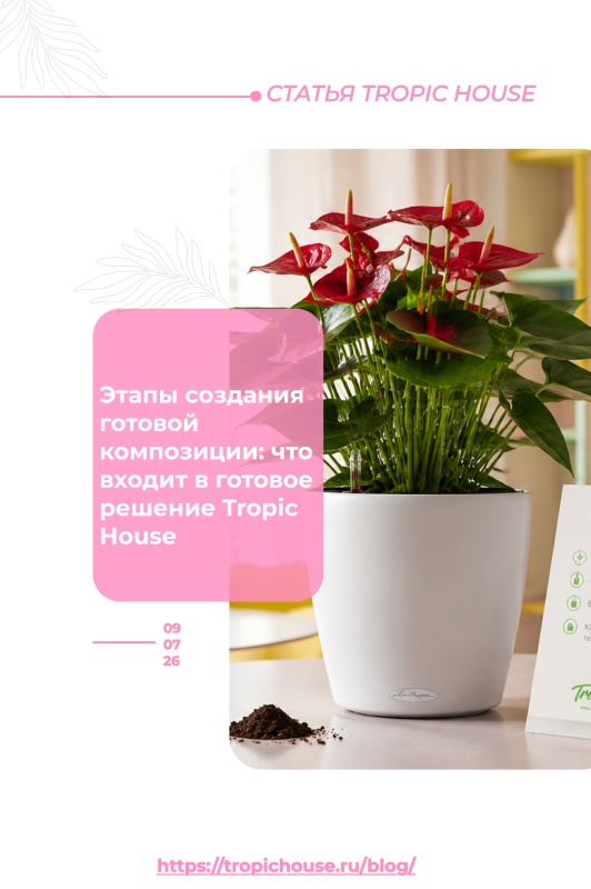 Этапы создания готовой композиции: что входит в готовое решение Tropic House