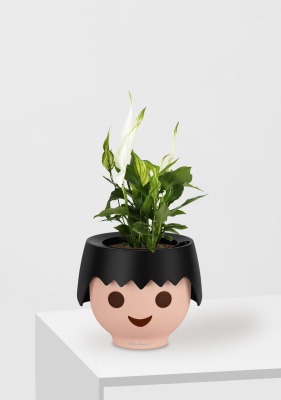 Спатифиллум 9/30 см в OJO Спатифиллум 9/30 см в OJO