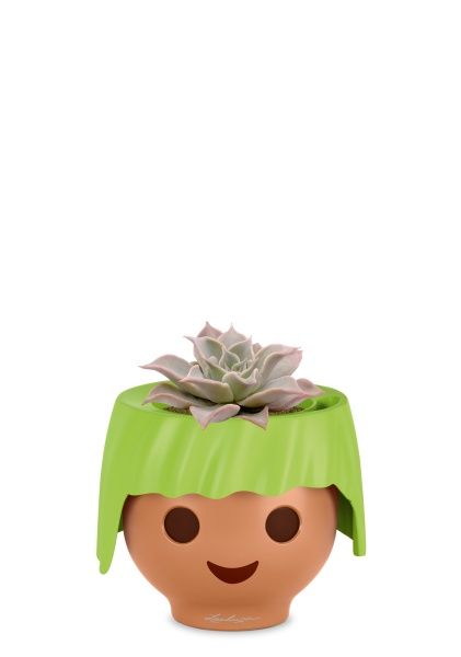 Эхеверия Мадиба 12/16 см в OJO