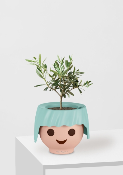 Олива 12/30 см в OJO